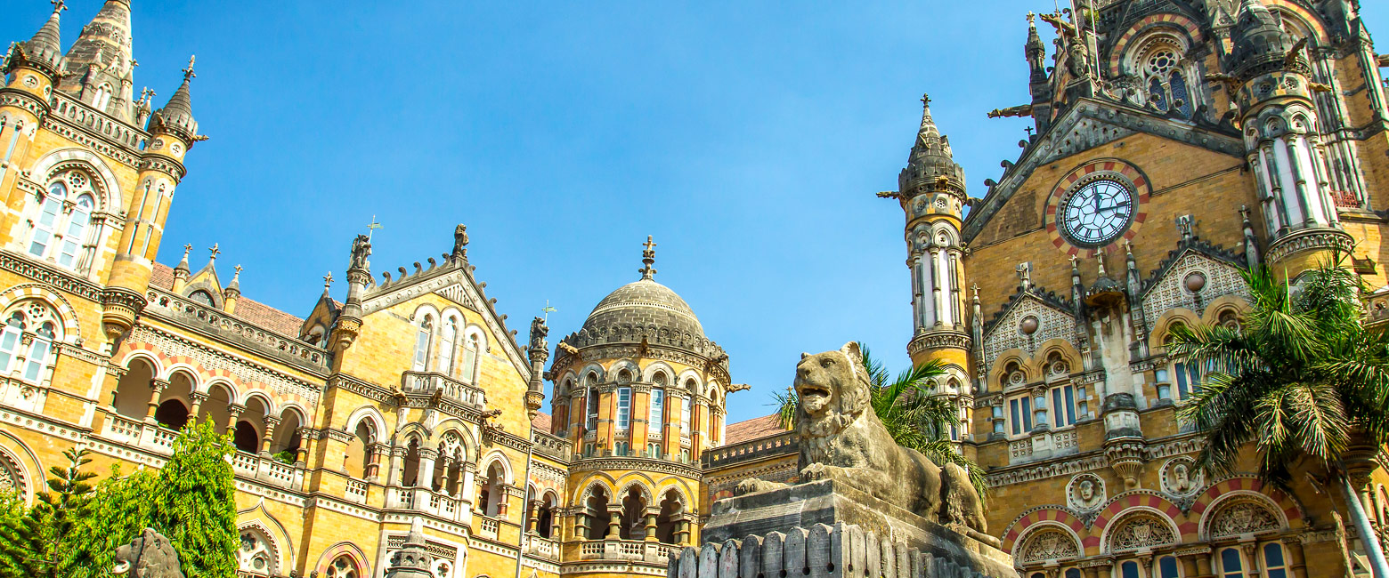 let us know your thoughts about India and we will help you create the perfect safari