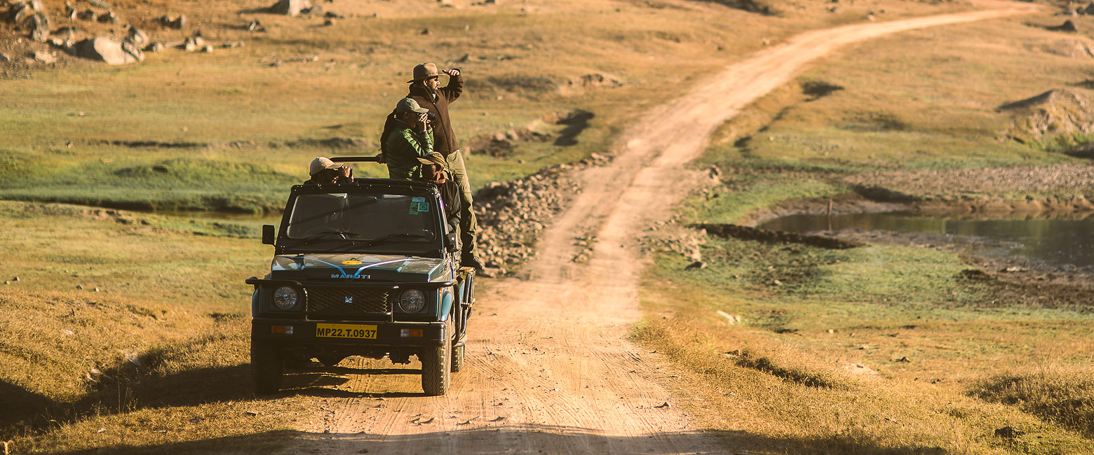 let us know your thoughts about India and we will help you create the perfect safari