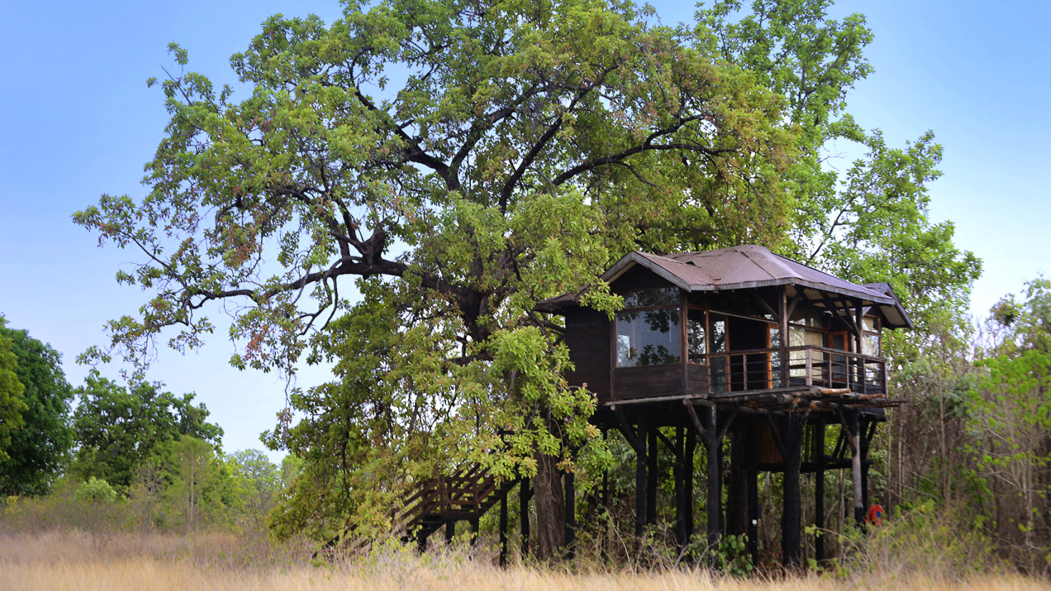Pench Tree Lodge