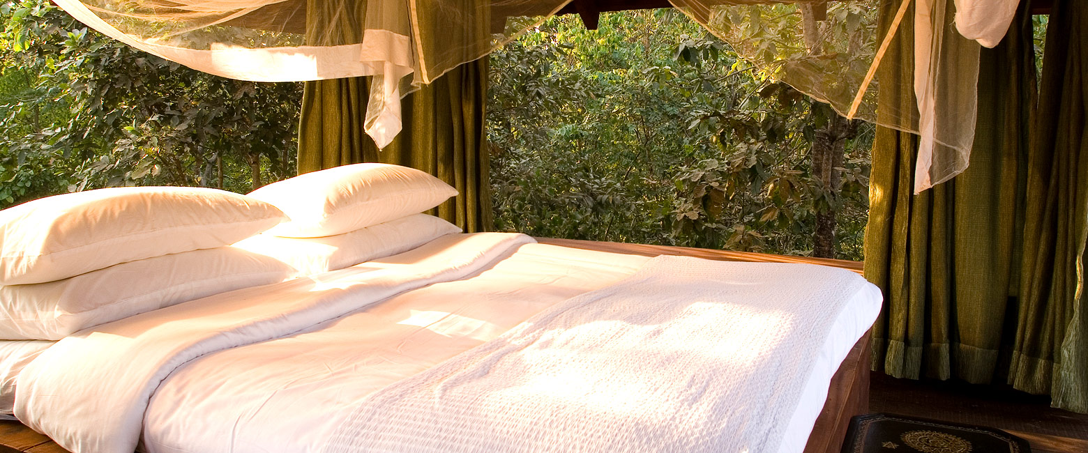 is a reliable lodge in the Pench area