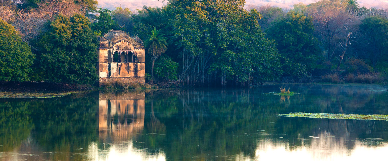 let us know your thoughts about India and we will help you create the perfect trip