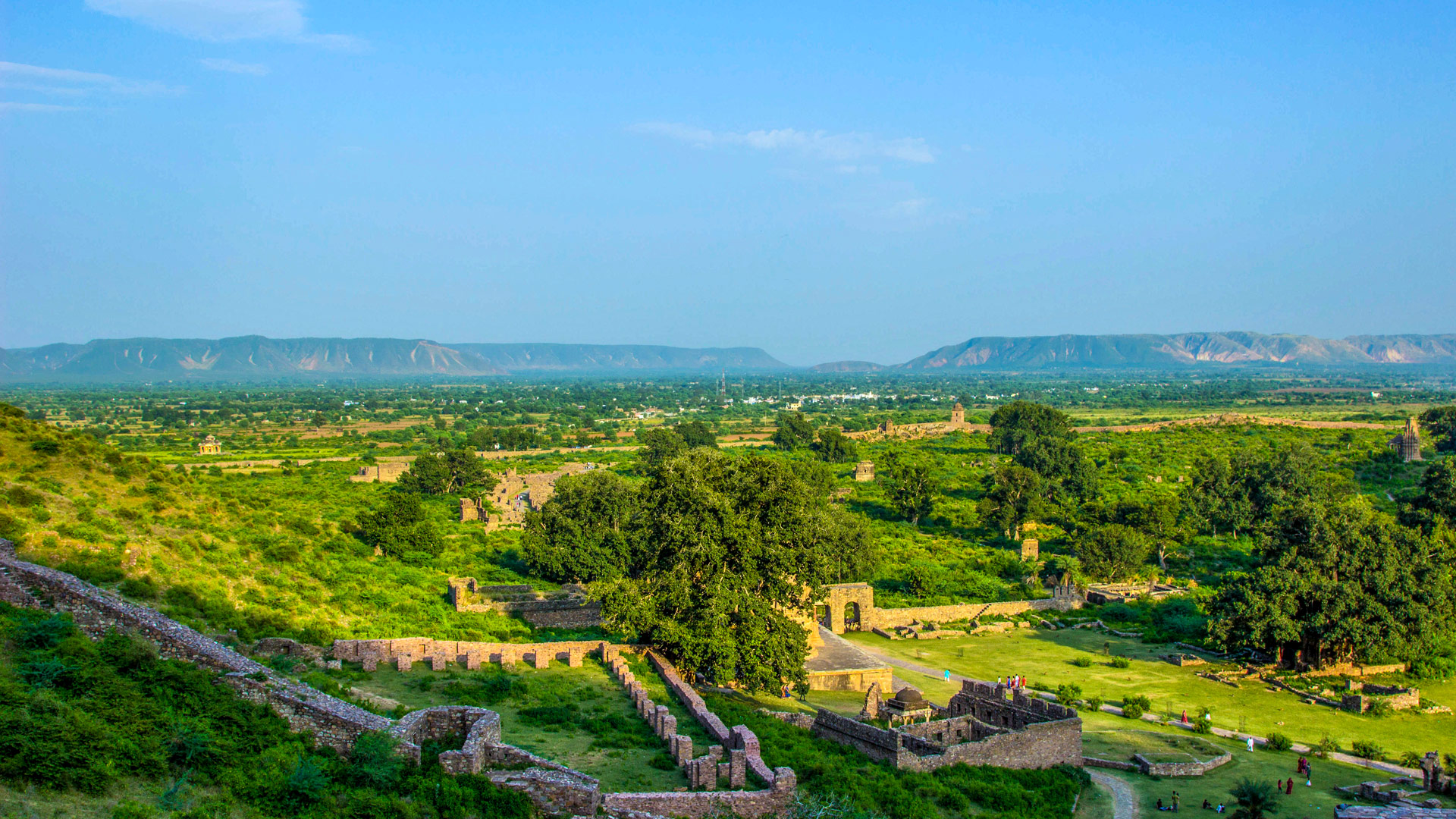 Safari to Sariska