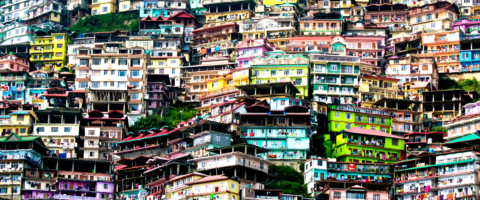 let us know your thoughts about India and we will make sure to deliver the perfect safari 