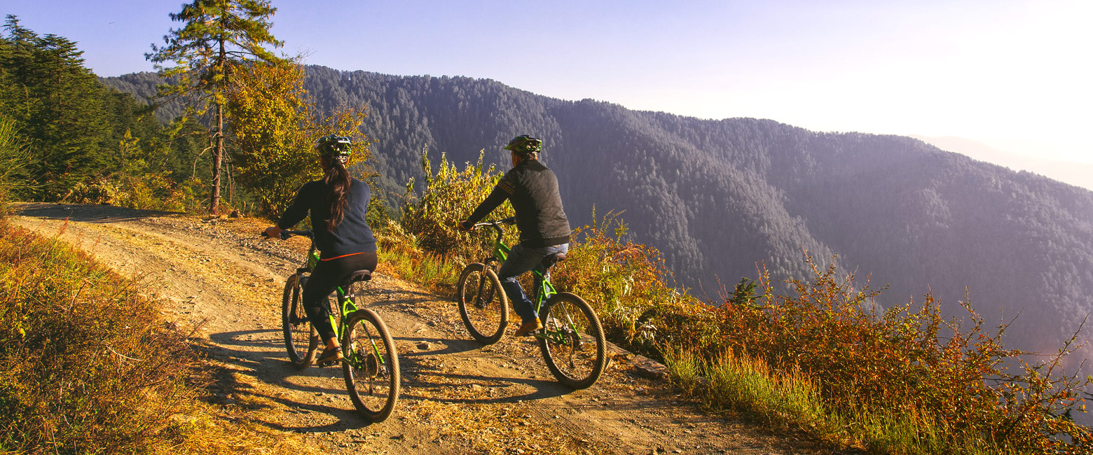 let us know your thoughts about India and we will help you create the perfect safari 