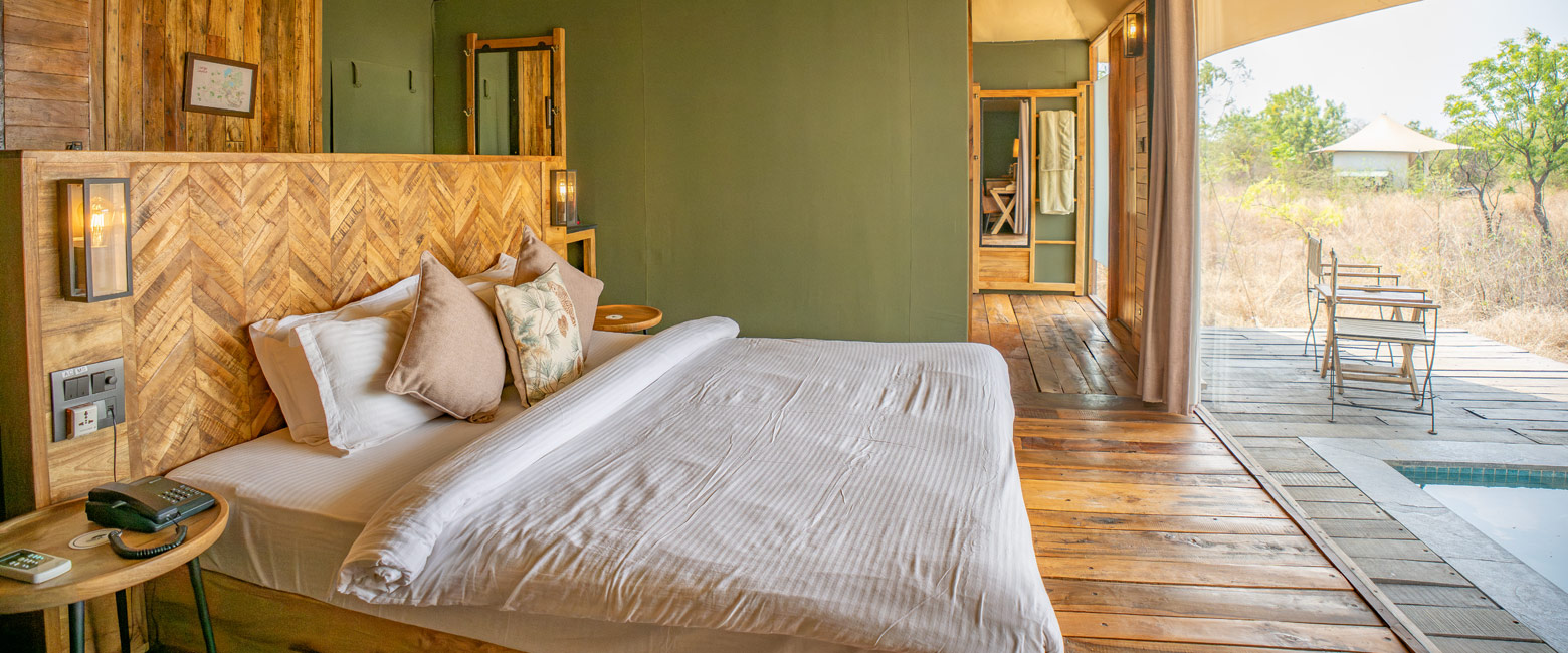 is a relatively modest outpost in the Tadoba area 