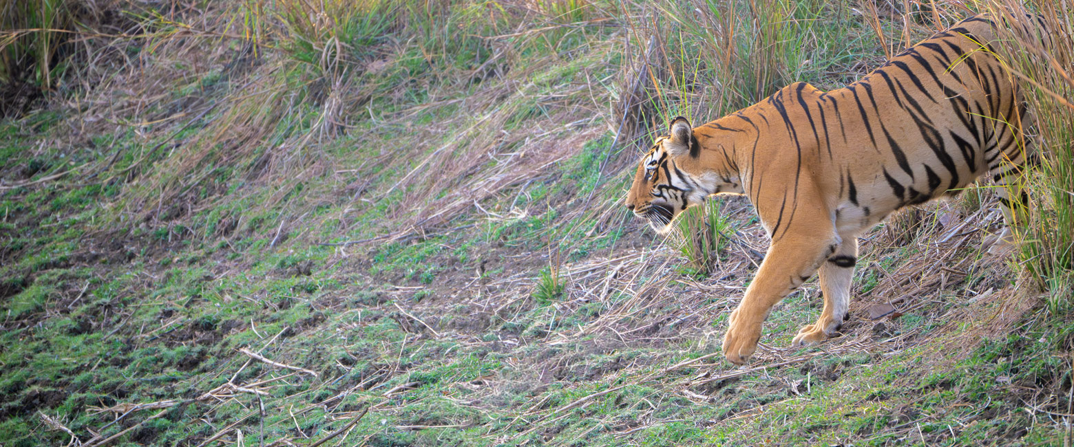 let us know your thoughts about India and we will help you create the perfect trip 