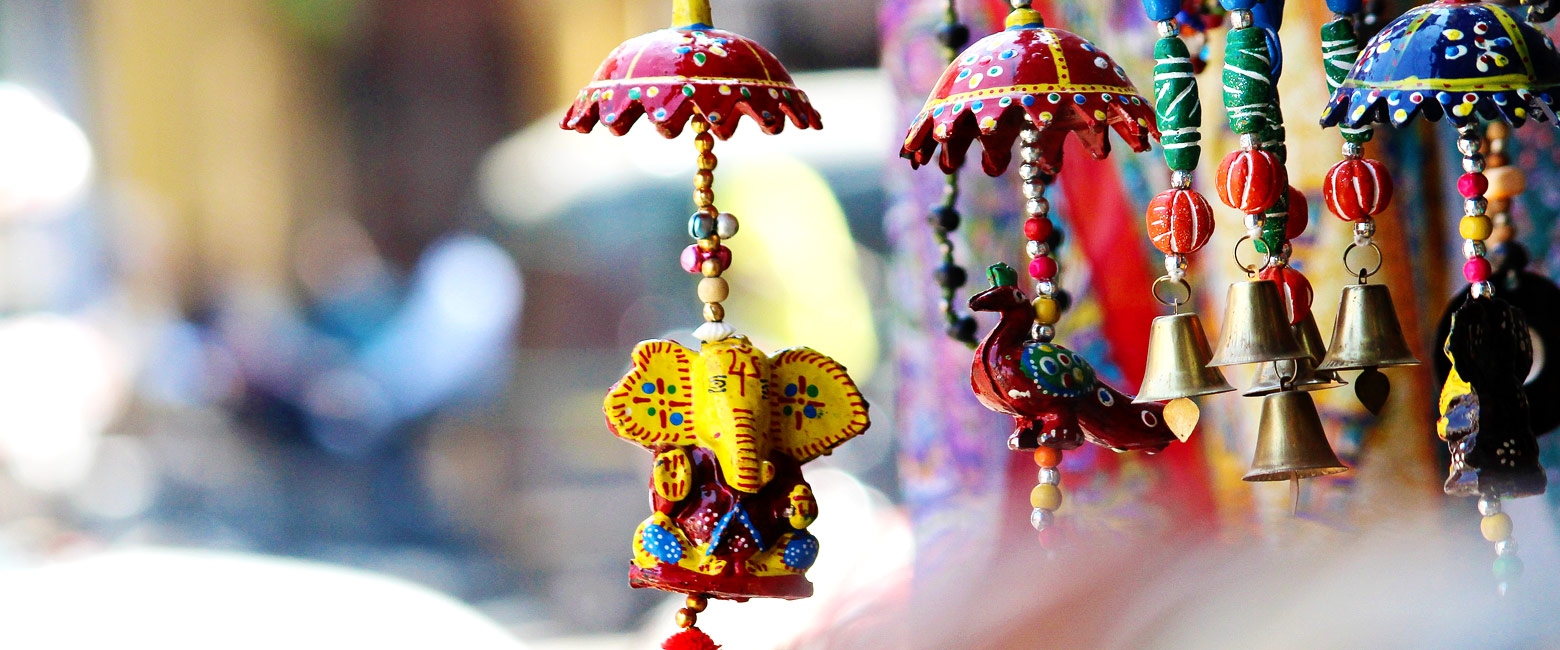 let us know your thoughts about India and we will help you create the perfect safari 