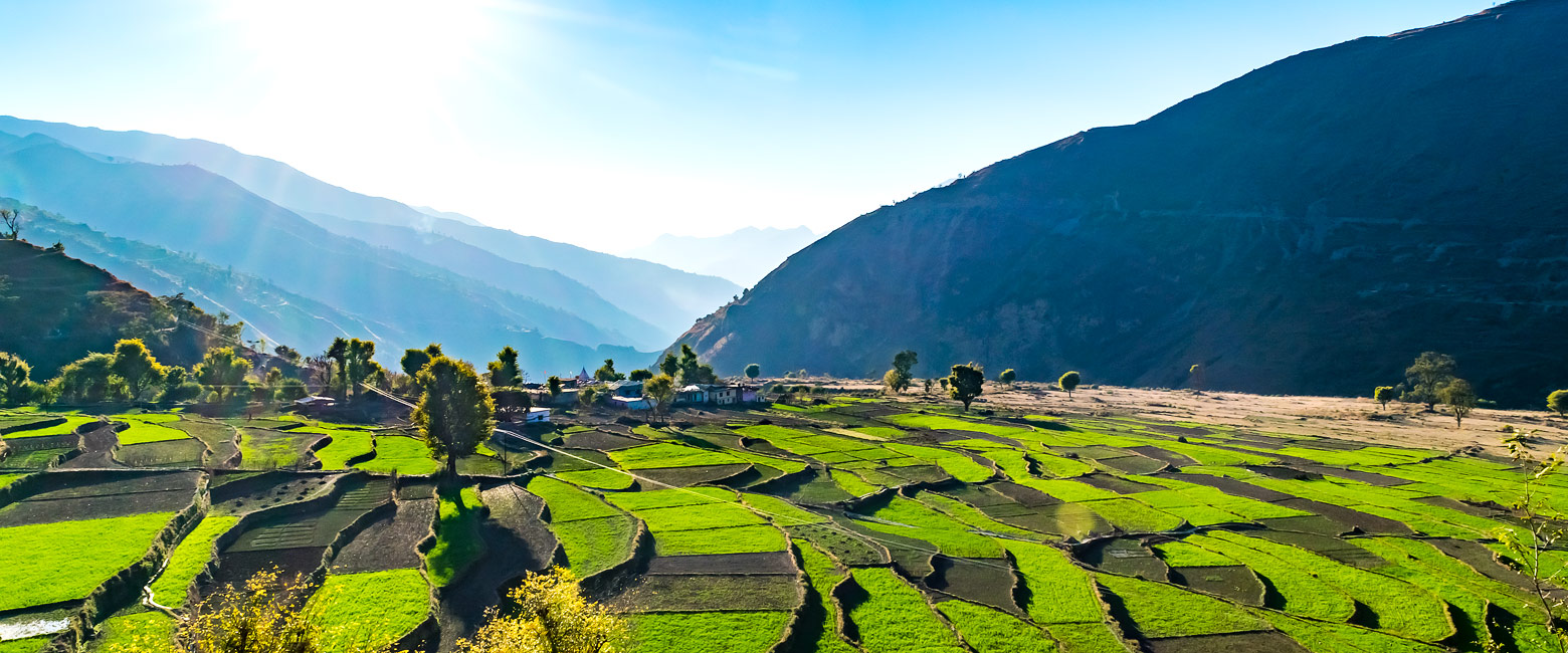 let us know your thoughts about India and we will help you create the perfect trip