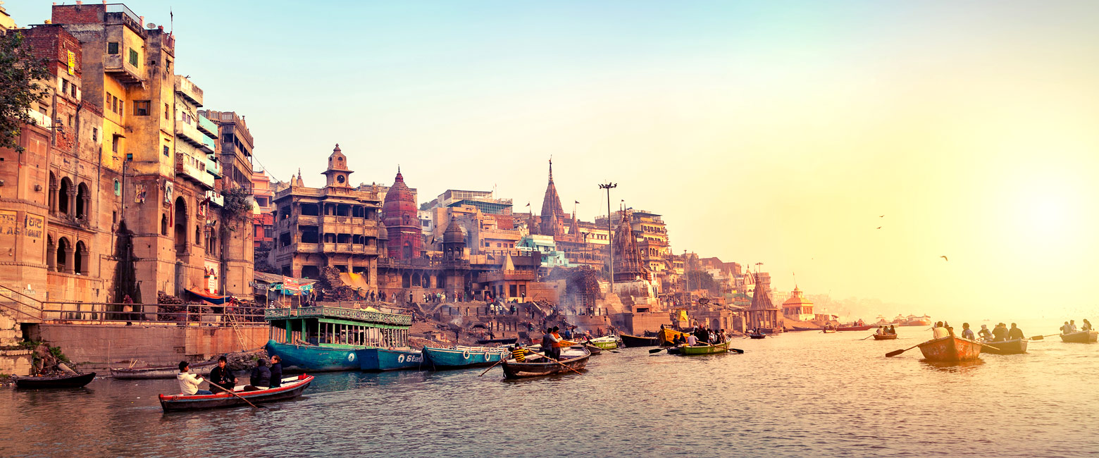 let us know your thoughts about India and we will make sure to deliver the perfect safari 