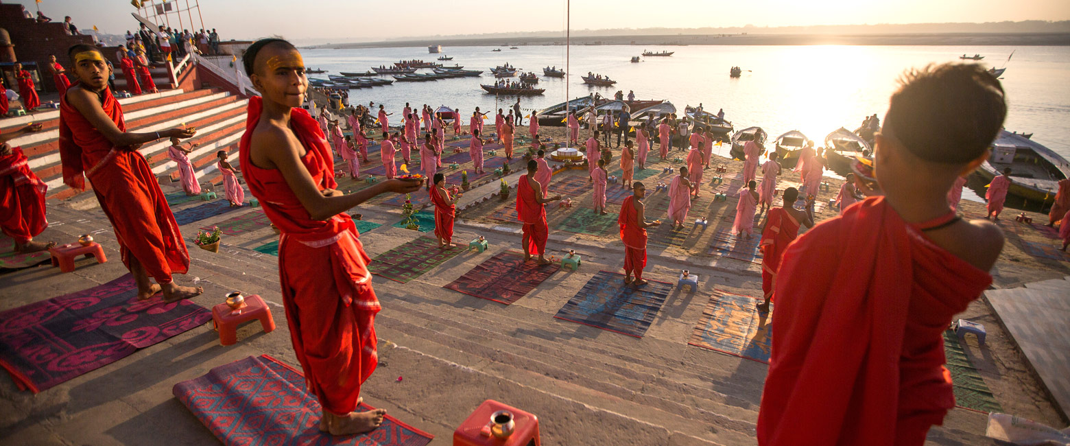 let us know your thoughts about India and we will make sure to deliver the perfect safari 