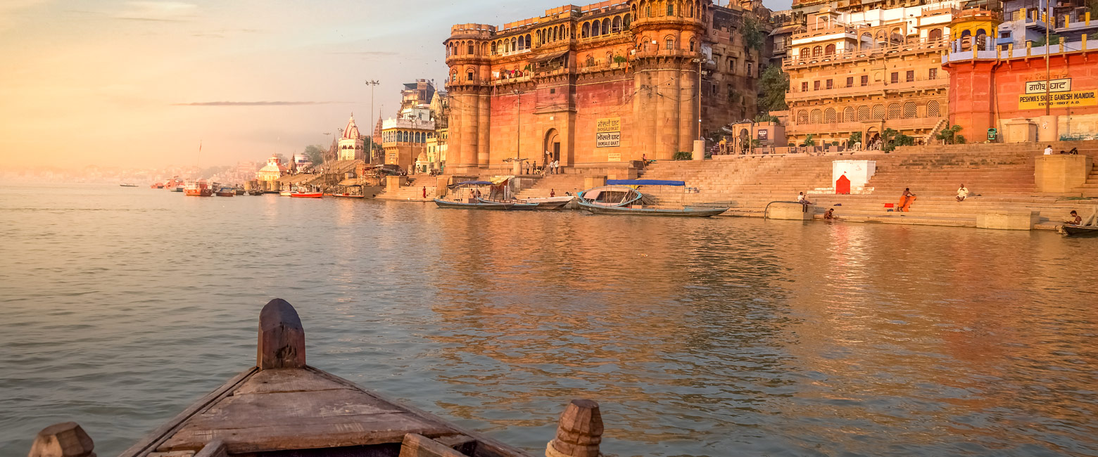 let us know your thoughts about India and we will help you create the perfect safari