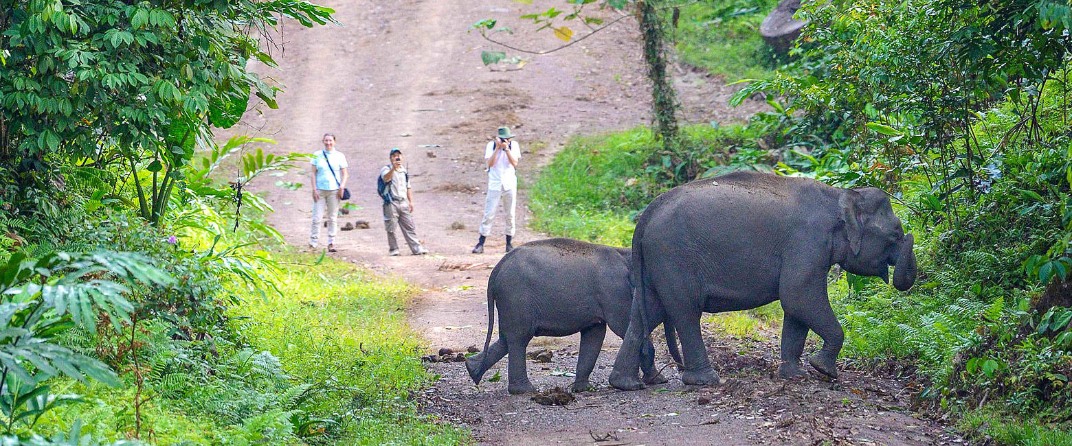 is the heart of Borneo’s untouched primary rainforest. 