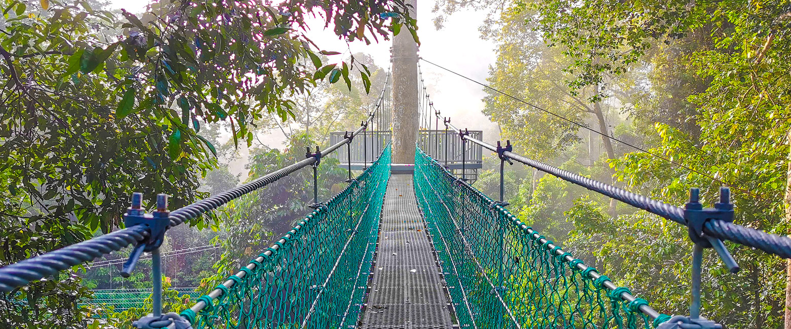 is the most established lodge set within Sabah’s protected Danum Valley 