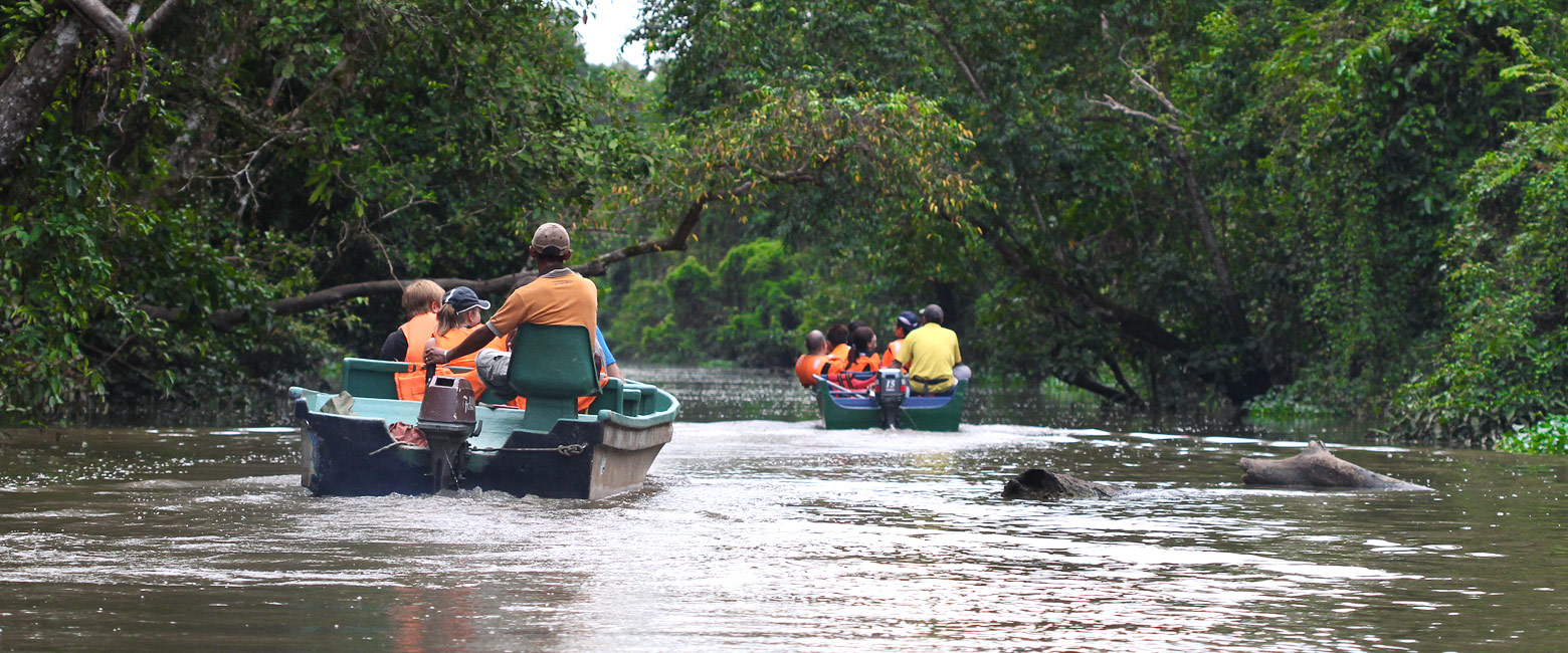 let us know your thoughts about Borneo and we will help you create the perfect safari 