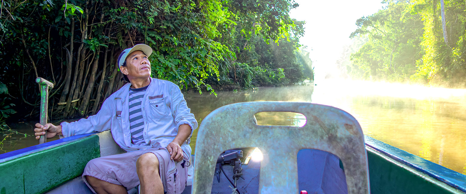 let us know your thoughts about Borneo and we will help you create the perfect safari 