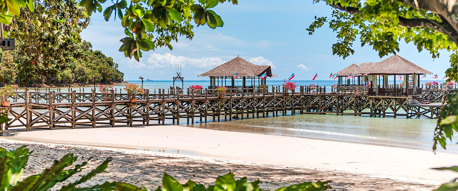 let us know your thoughts about Borneo and we will help you create the perfect safari 