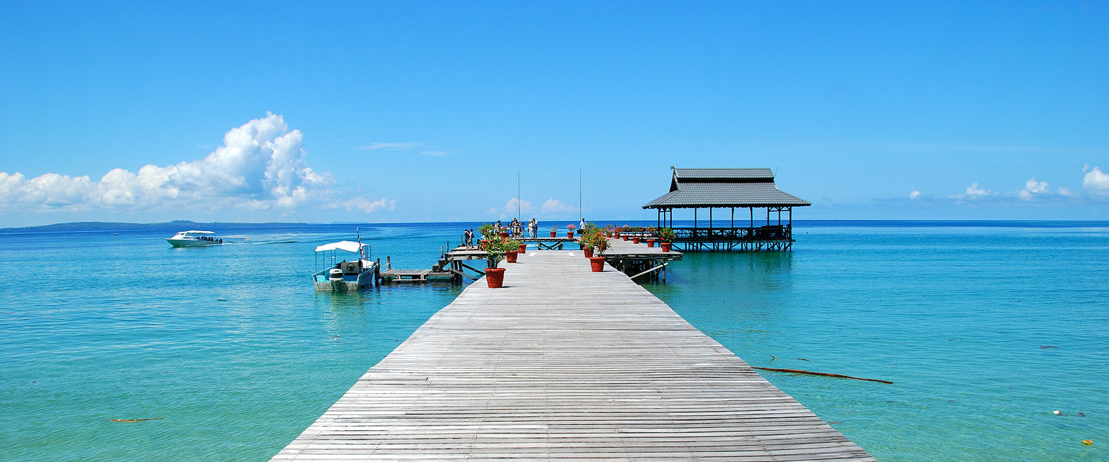 let us know your thoughts about Borneo and we will help you create the perfect safari 