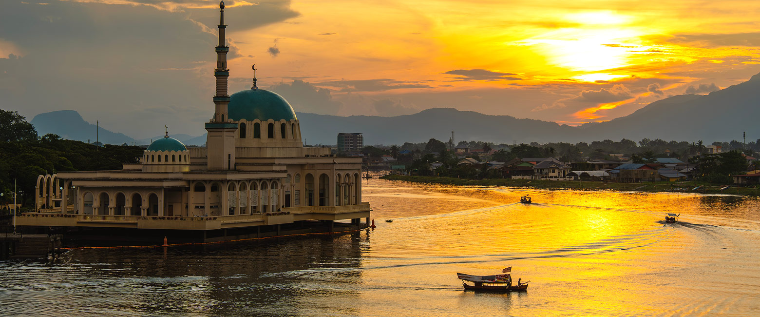 let us know your thoughts about Borneo and we will help you create the perfect safari 