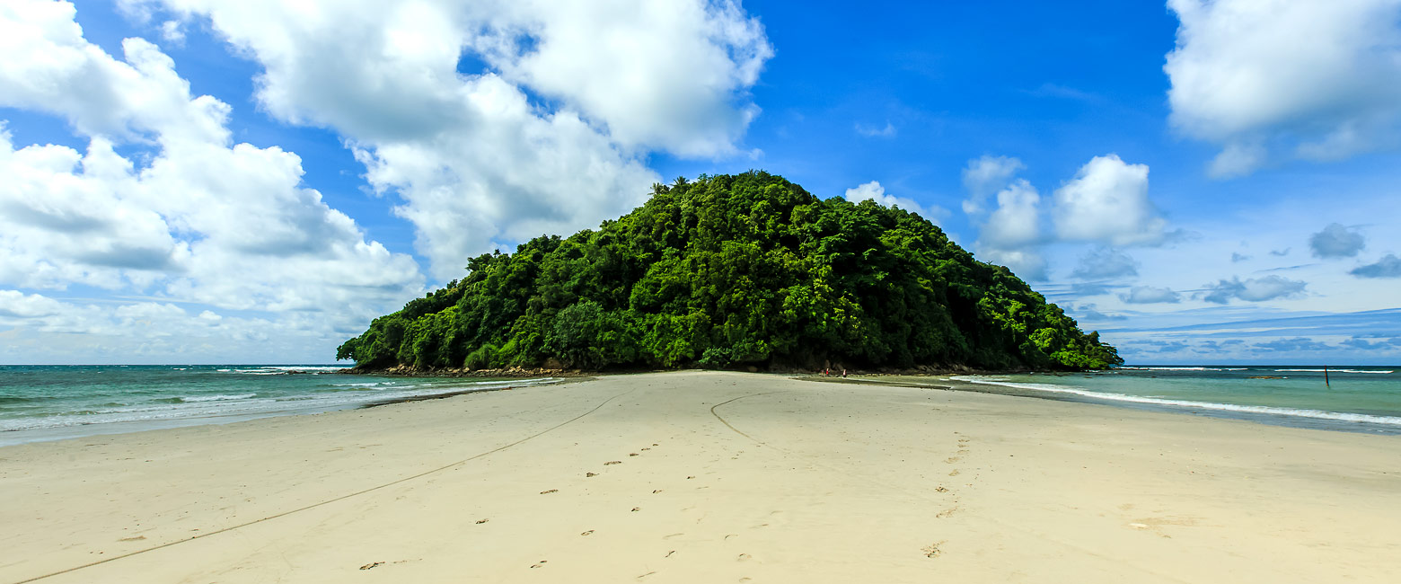 let us know your thoughts about Borneo and we will help you create the perfect safari 