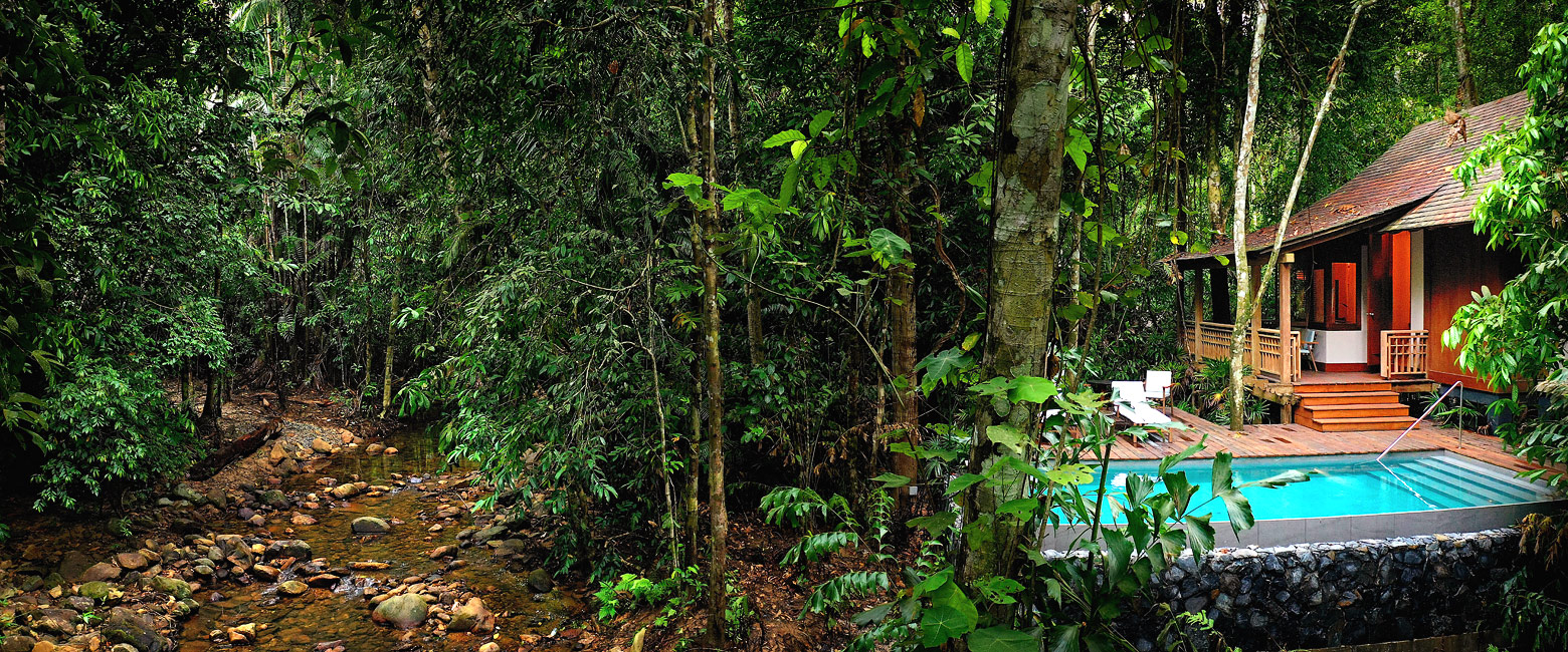 let us know your thoughts about Malaysia and we will help you create the perfect safari 