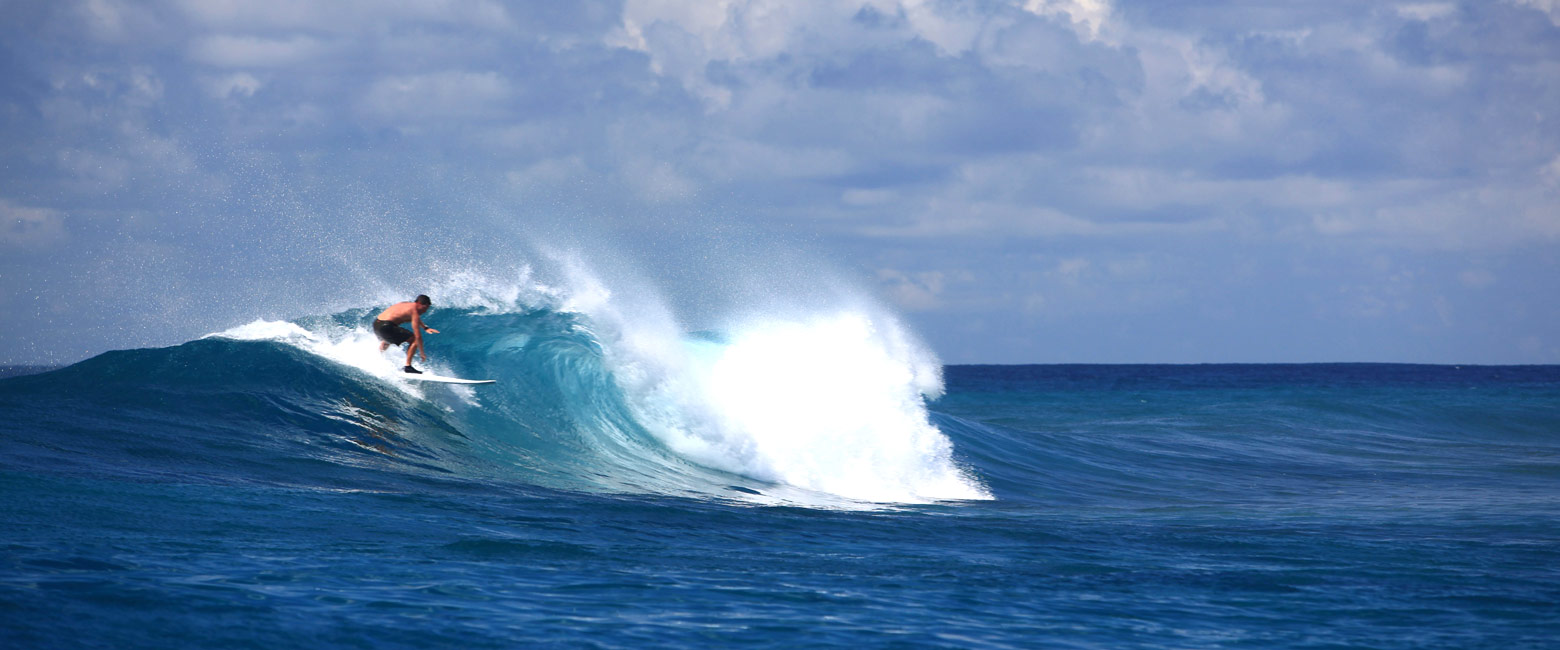 let us know your thoughts about the Maldives and we will help you create the perfect safari 