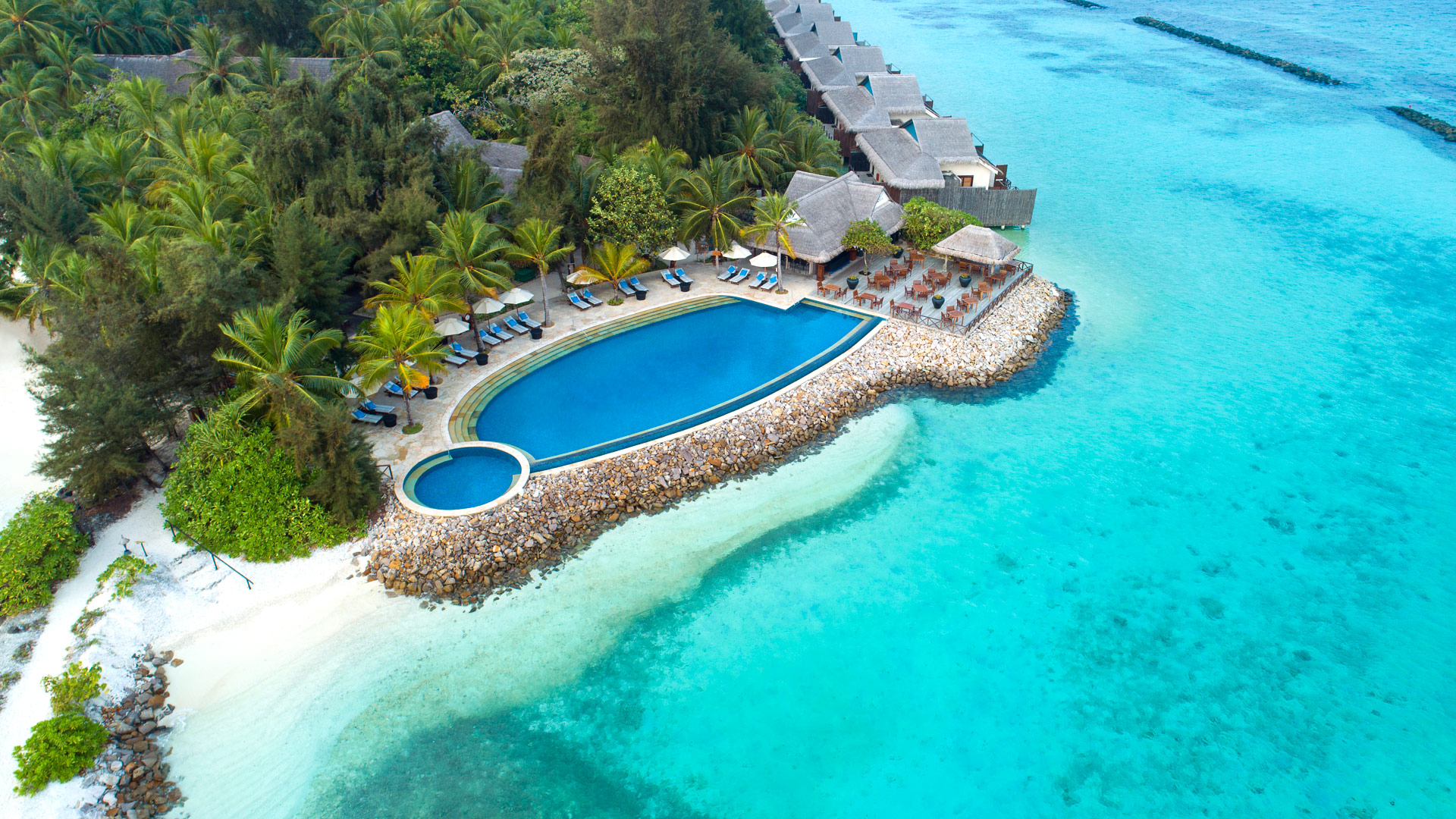 Taj Coral Reef
