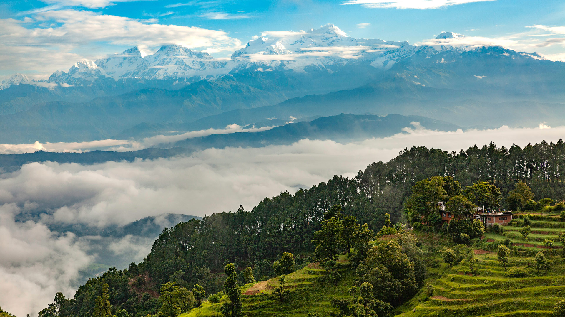 Travel to Bandipur