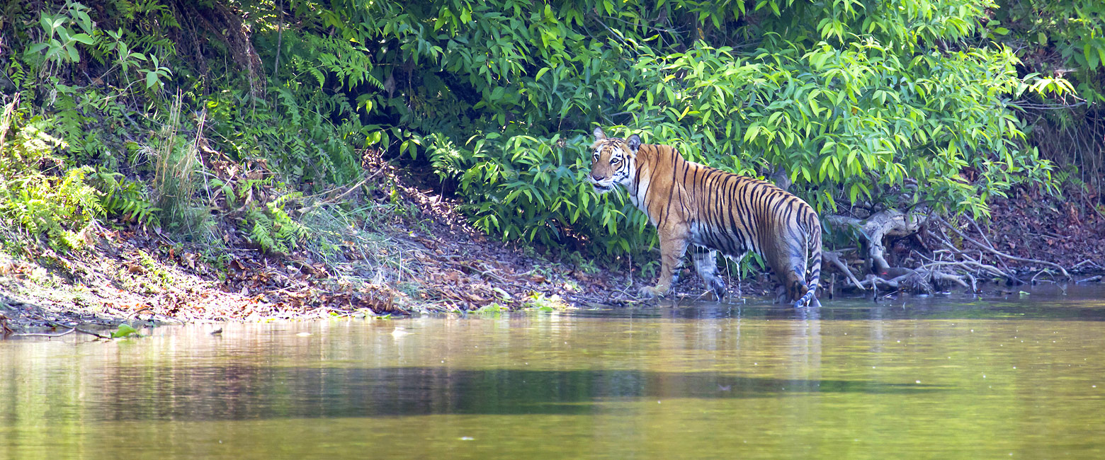 is a major wildlife reserve in southern Nepal