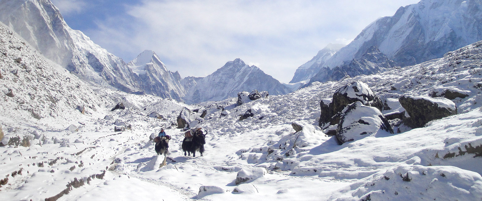 let us know your thoughts about Nepal and we will help you create the perfect trip 