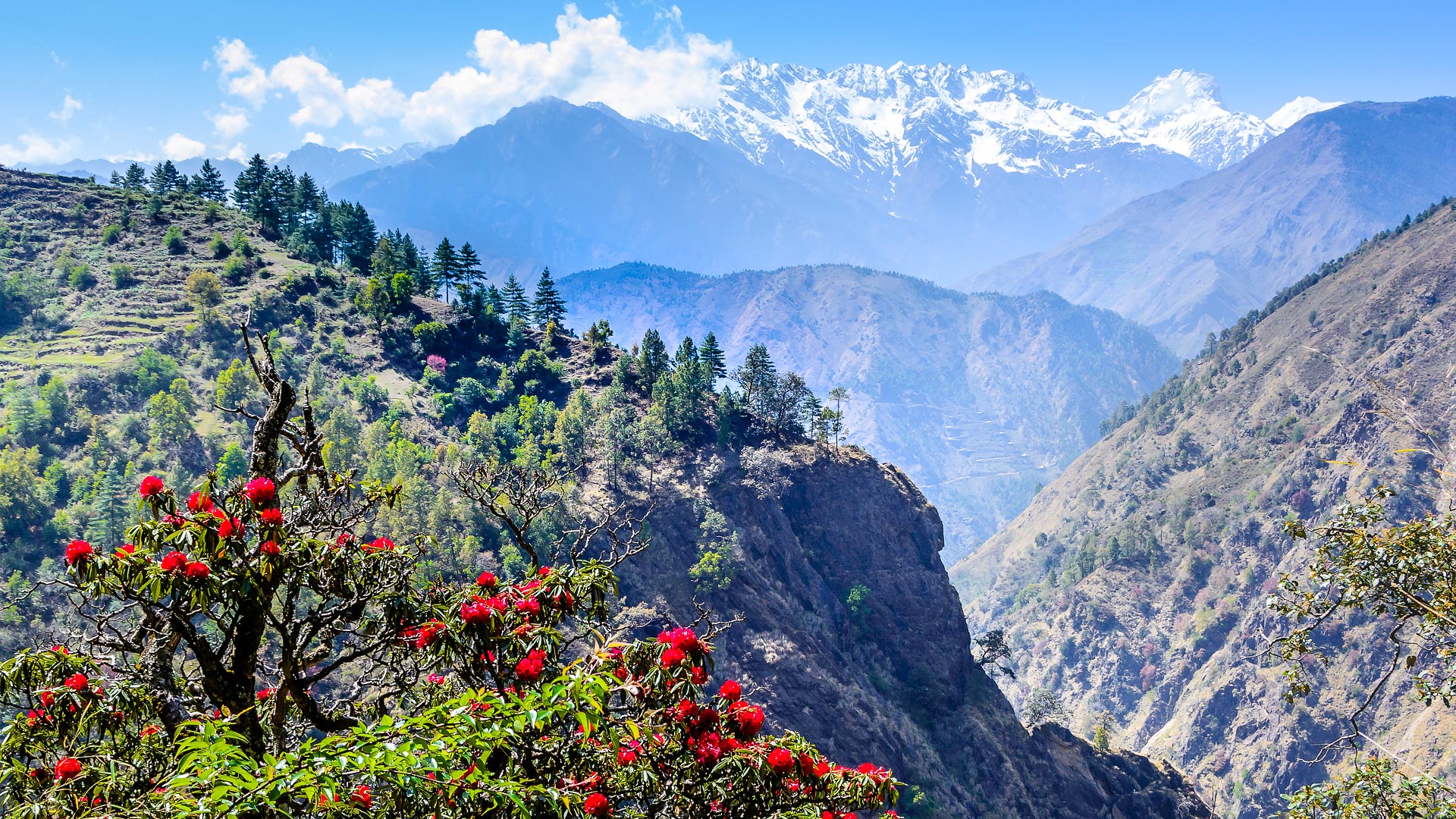 Trekking in Langtang