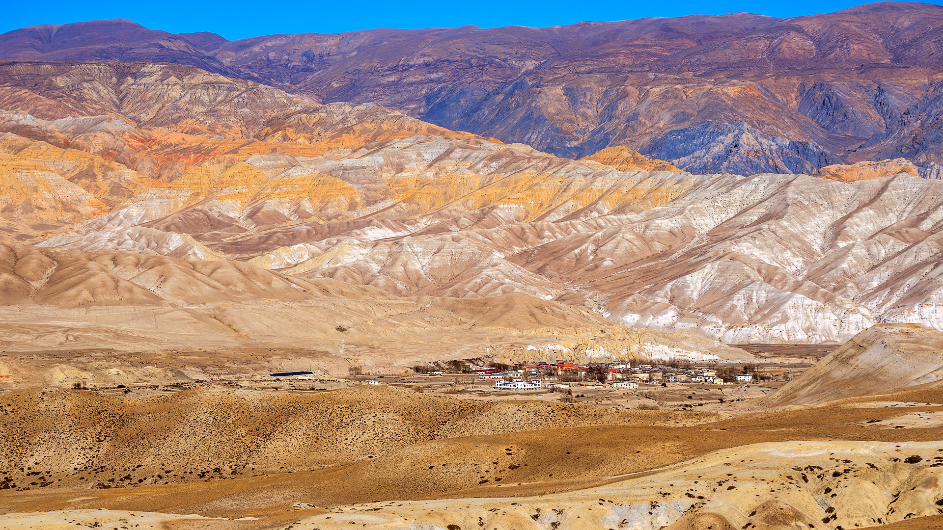 Royal Mustang Resort