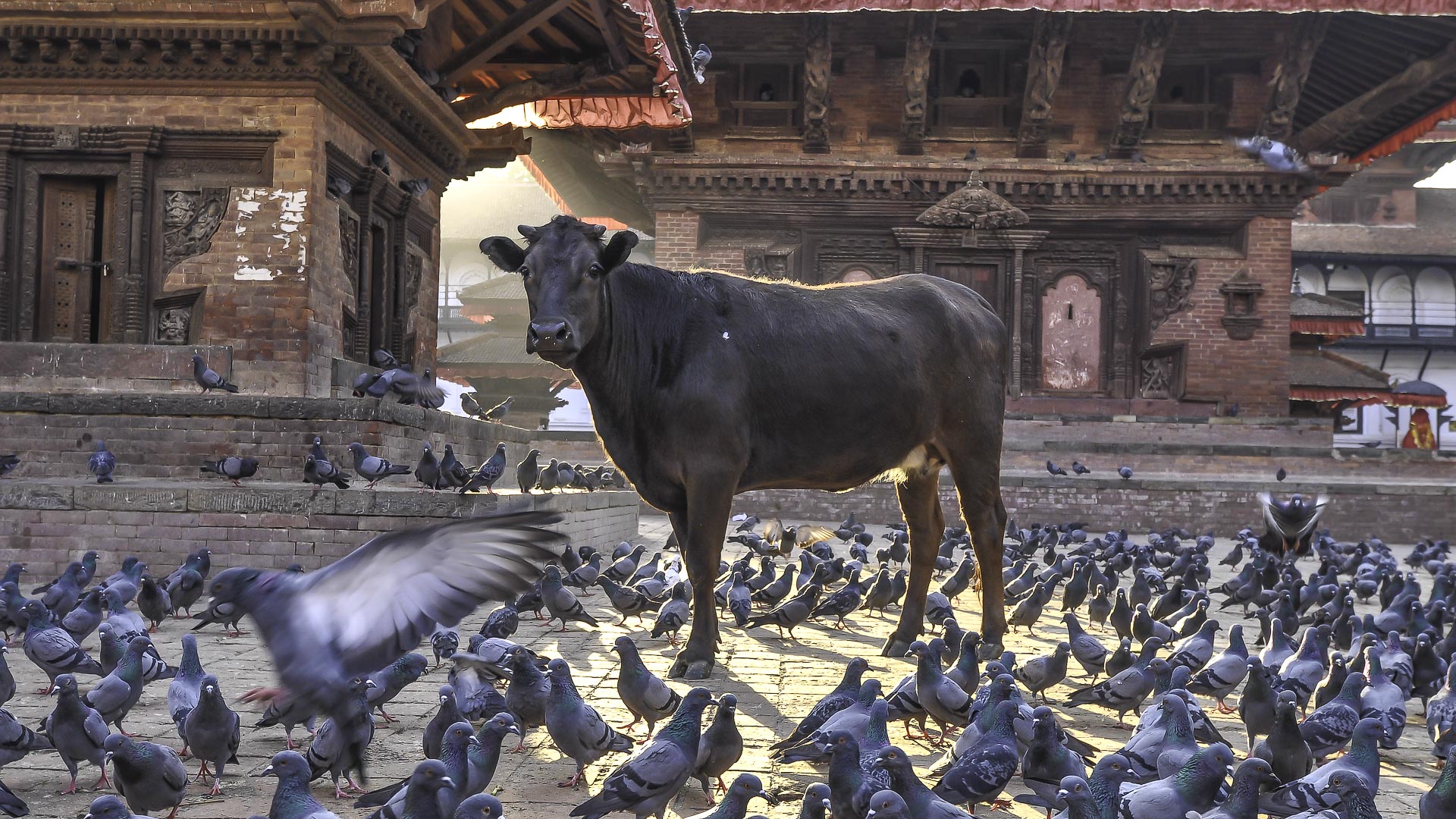Travel to Patan