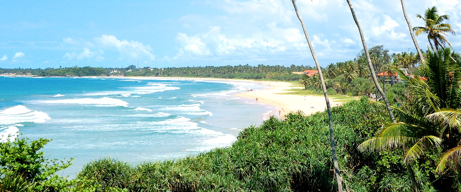 let us know your thoughts about Sri Lanka and we will help you create the perfect trip
