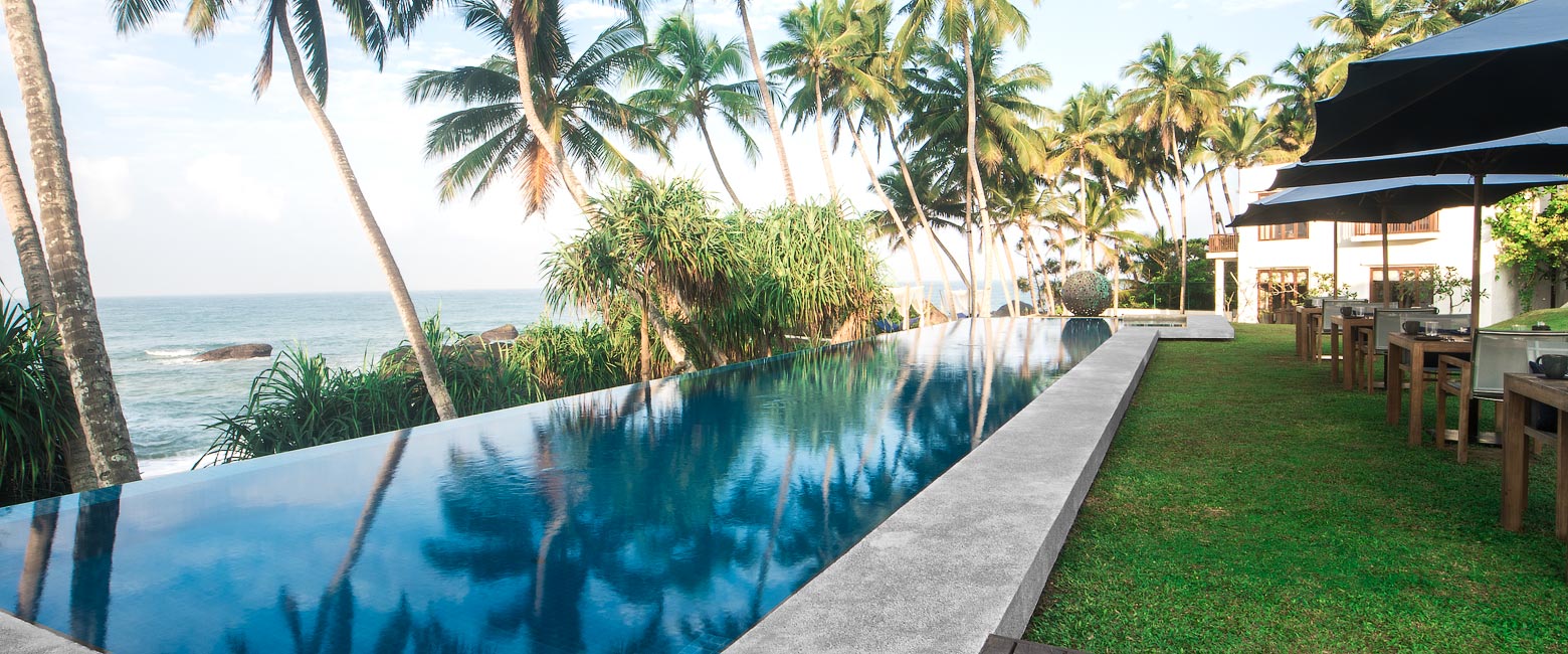 let us know your thoughts about Sri Lanka and we will help you create the perfect safari