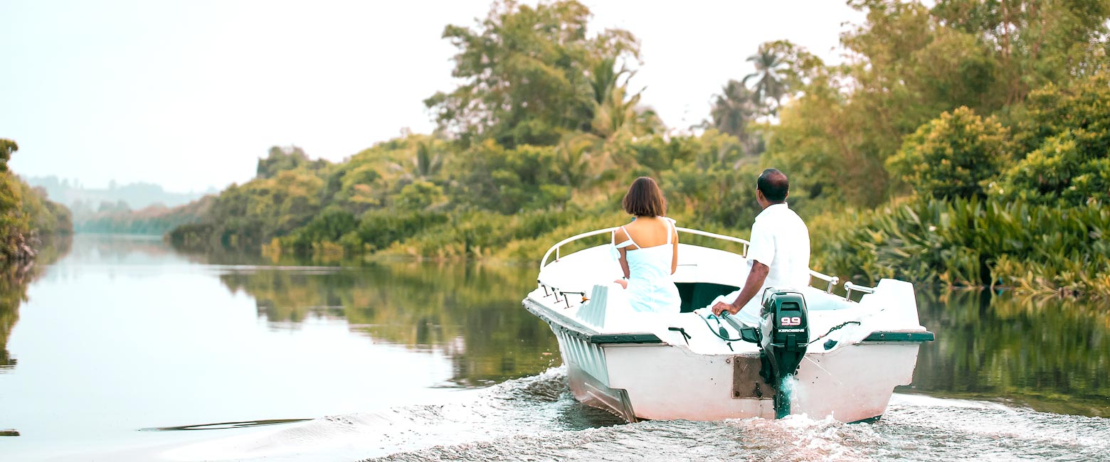 let us know your thoughts about Sri Lanka and we will help you create the perfect safari