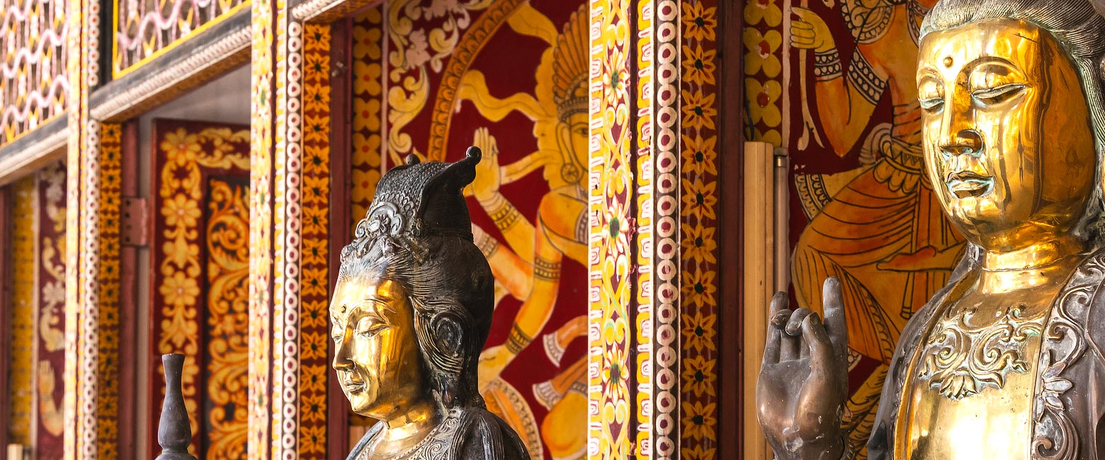 let us know your thoughts about Sri Lanka and we will help you create the perfect safari