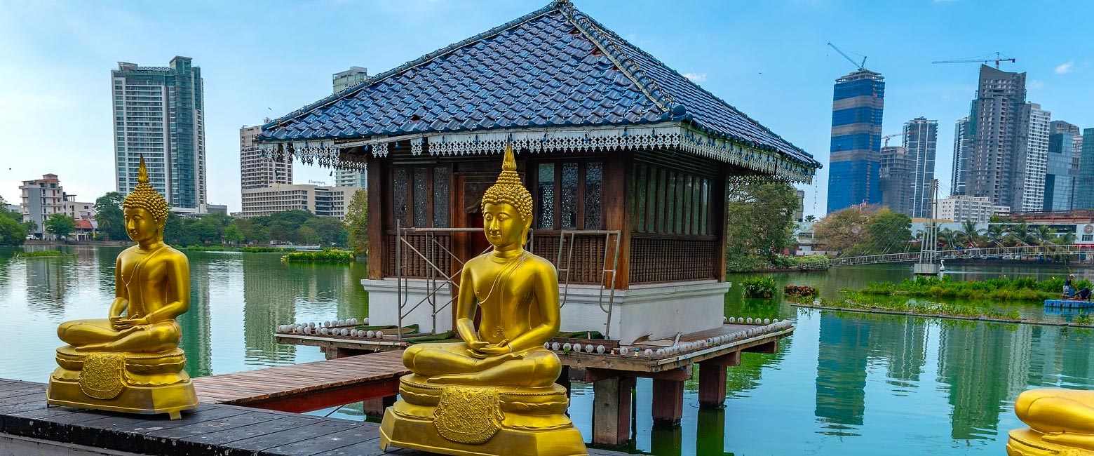 let us know your thoughts about Sri Lanka and we will help you create the perfect safari 