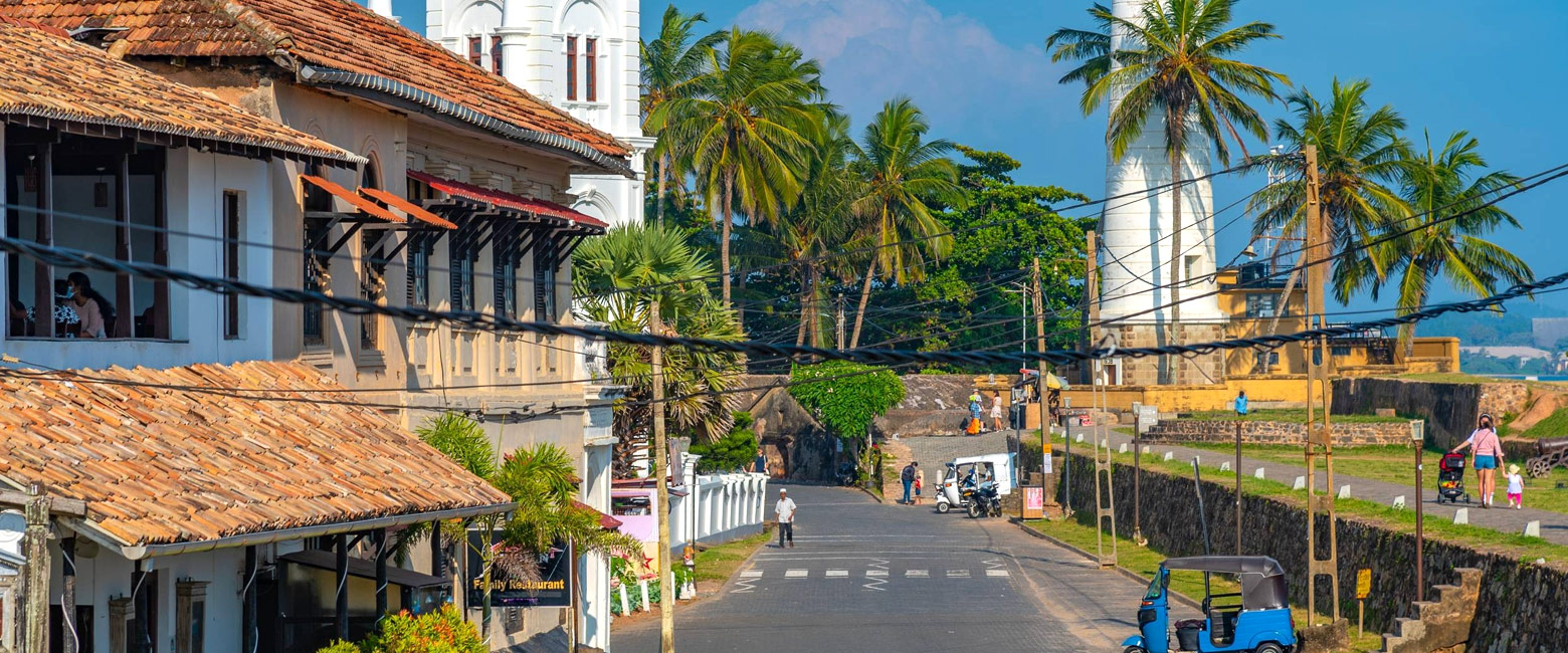 let us know your thoughts about Sri Lanka and we will help you create the perfect safari