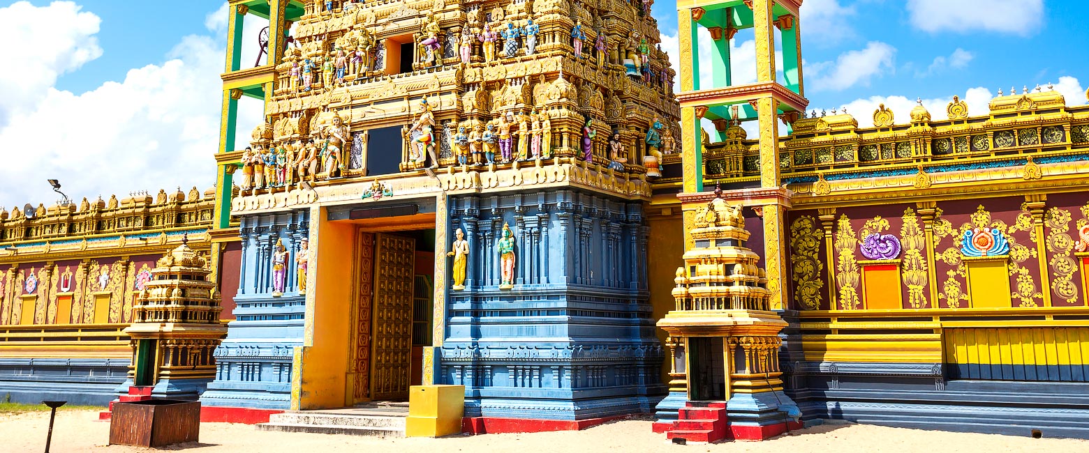 let us know your thoughts about Sri Lanka and we will help you create the perfect trip 