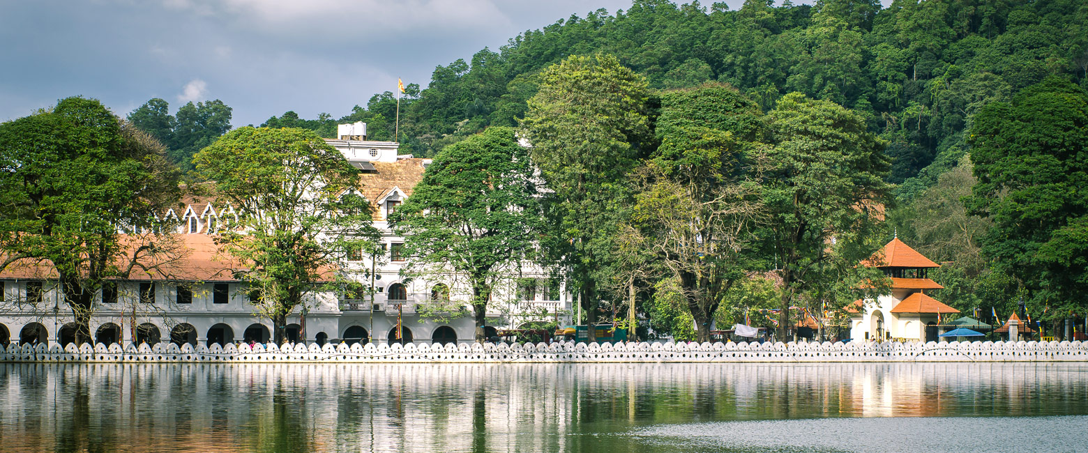 let us know your thoughts about Sri Lanka and we will help you create the perfect safari 