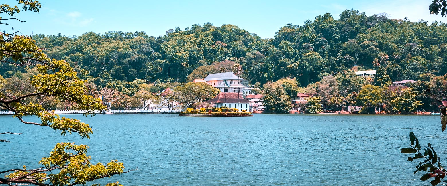 let us know your thoughts about Sri Lanka and we will help you create the perfect safari