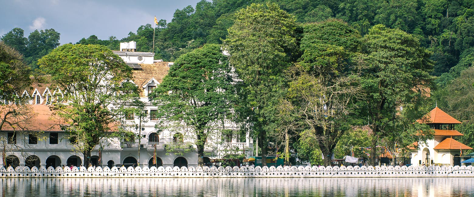 let us know your thoughts about Sri Lanka and we will help you create the perfect safari 