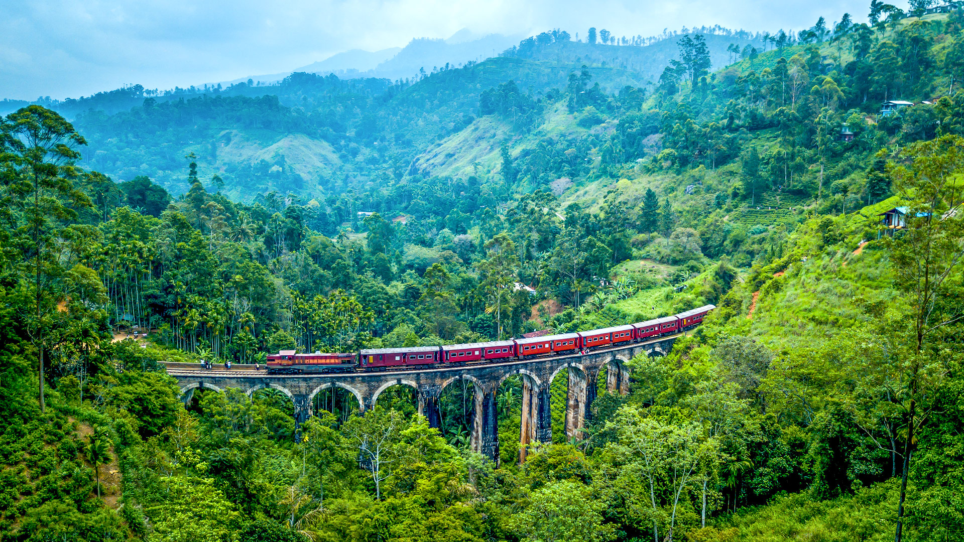 Safari in Nuwara Eliya