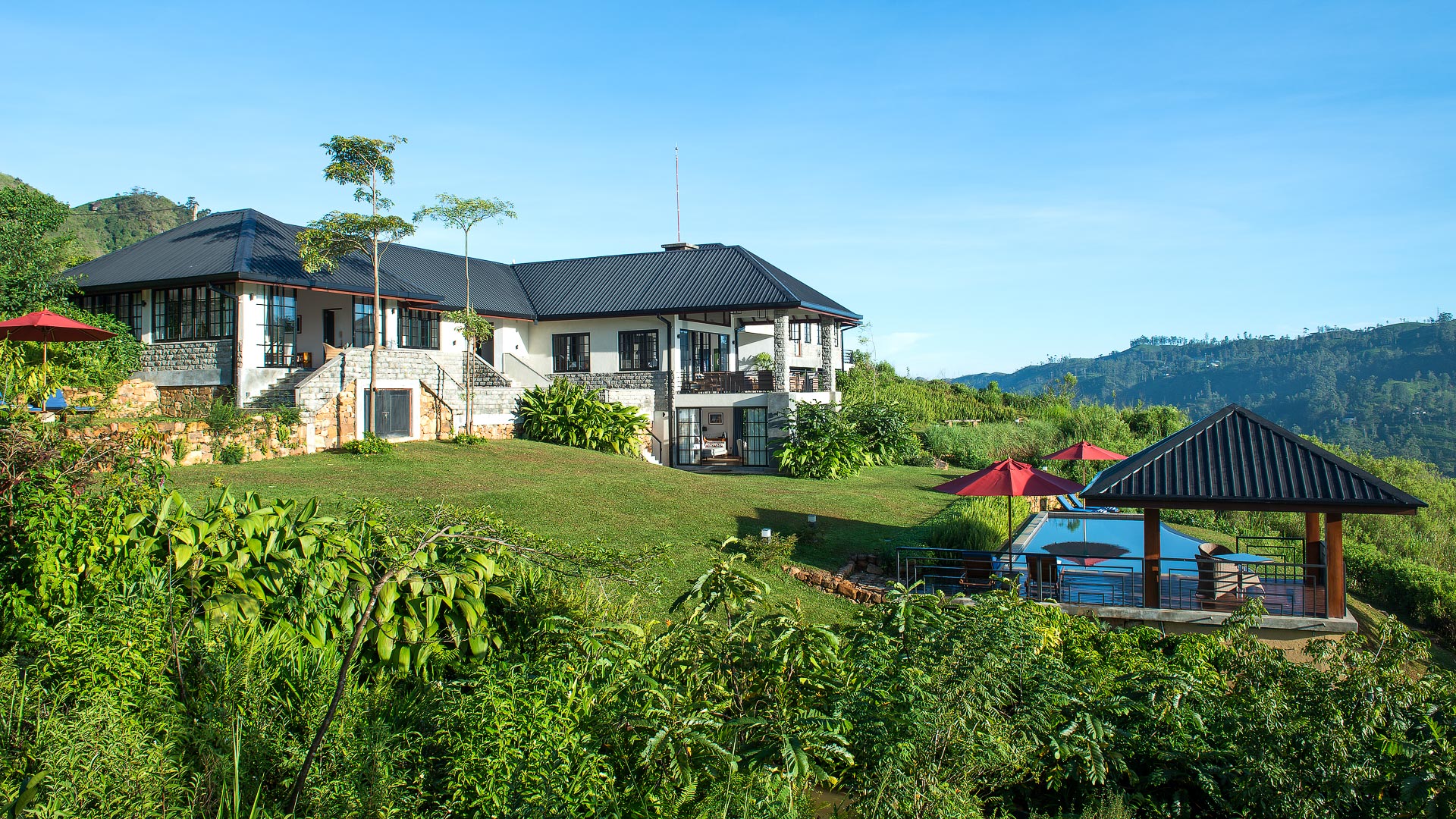 Camellia Hills