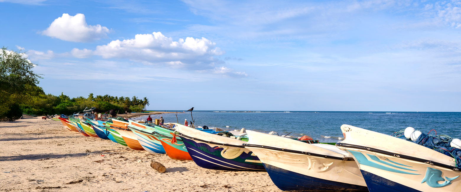 let us know your thoughts about Sri Lanka and we will help you create the perfect safari