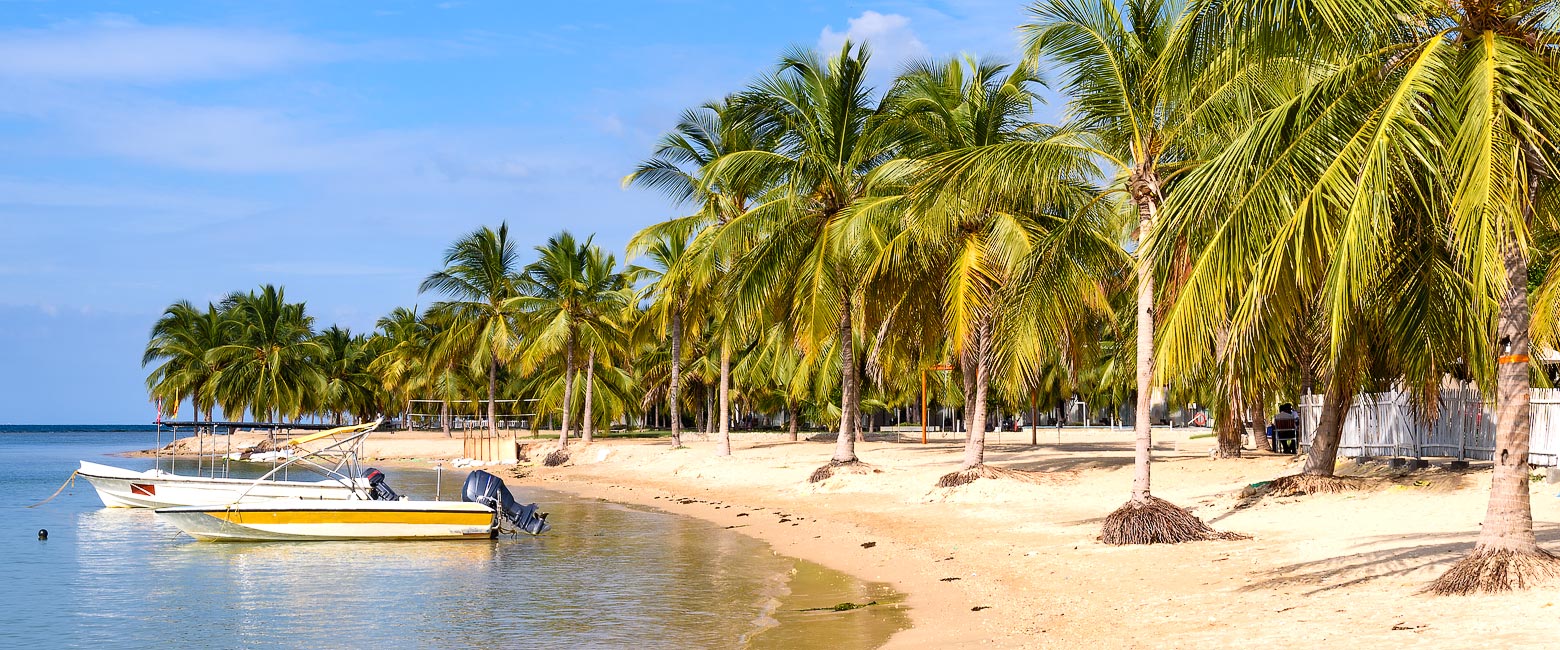 let us know your thoughts about Sri Lanka and we will help you create the perfect safari 