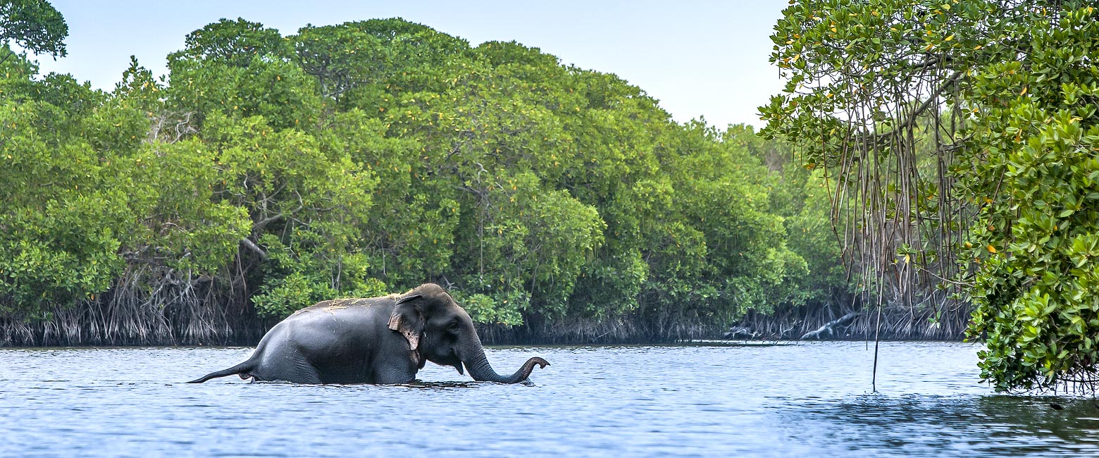 is a quiet surfing location in the southeast of Sri Lanka 