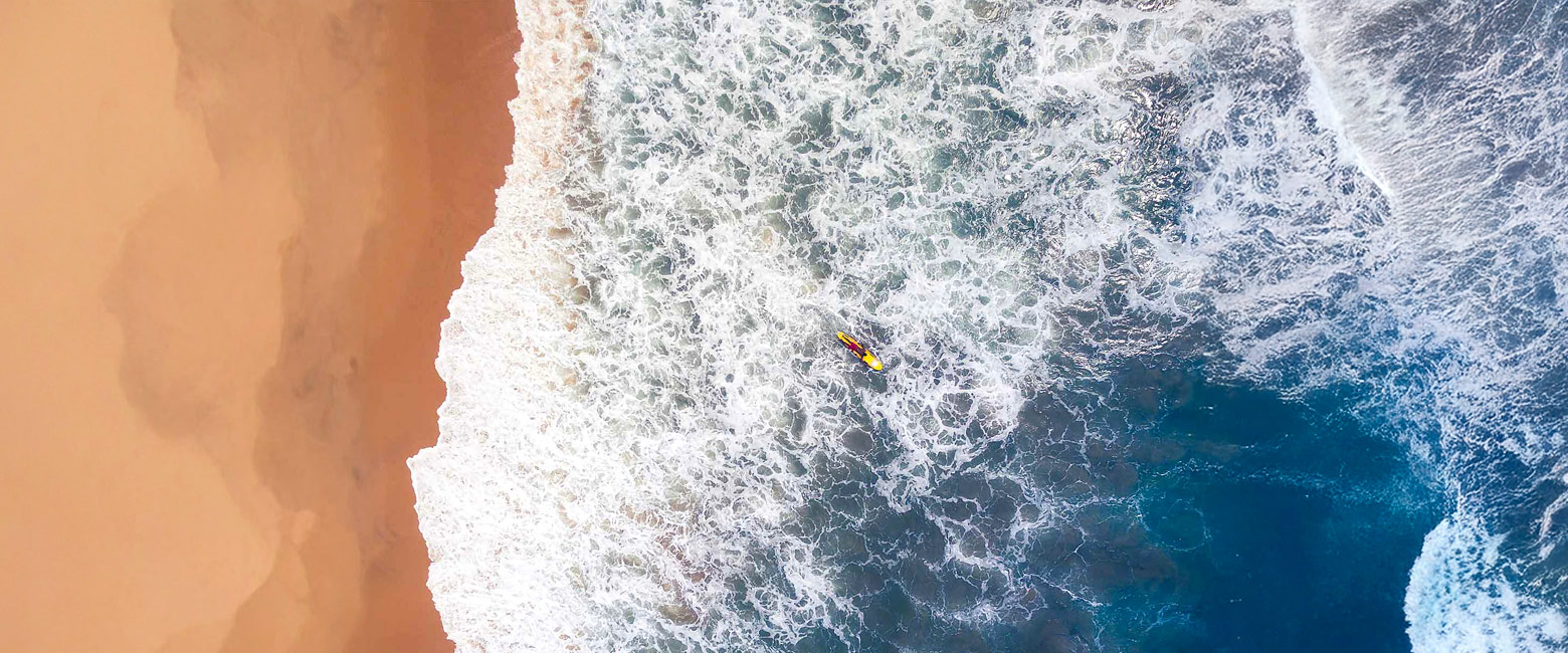 let us know your thoughts about Sri Lanka and we will help you create the perfect safari 