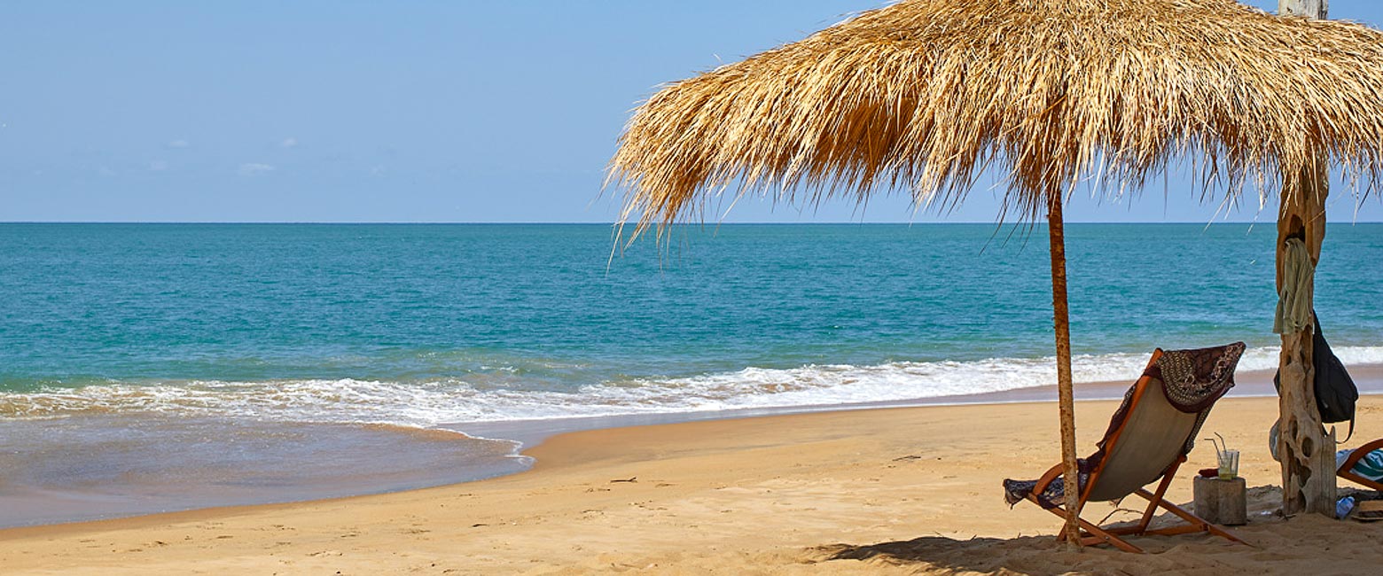 let us know your thoughts about Sri Lanka and we will help you create the perfect safari