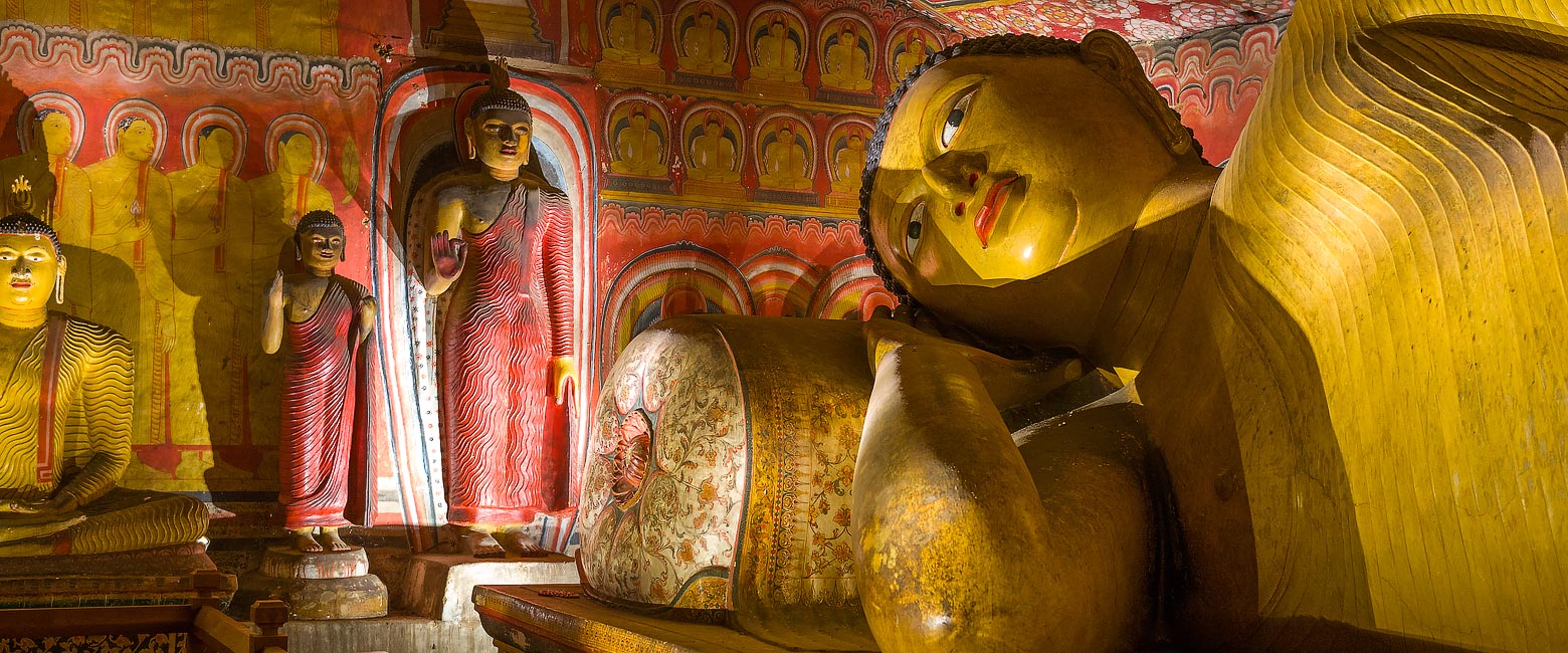 let us know your thoughts about Sri Lanka and we will help you create the perfect safari 